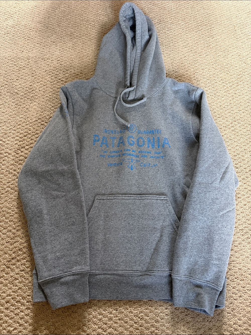 Patagonia Gray Hoodie with Blue Logo
